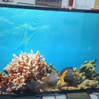 ال ای دی الجی ۴۷ اینچ و ال ای دی ۴۸ سامسونگ