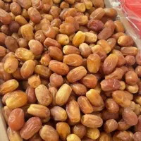 پخش خرمای زاهدی و انواع خرمای جنوب