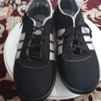 کفش کار