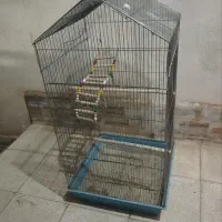 قفس