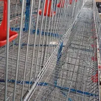 قفس مرغ تخمگذار در حد نو|لوازم جانبی حیوانات|محمدیه-قزوین, |دیوار