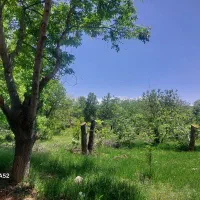 فروش-باغ-وباغچه