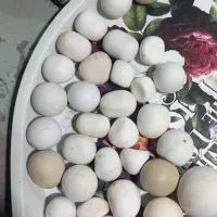 ۳۵عدد سنگ الماس اصل|کلکسیون اشیاء عتیقه|شیراز, ارم|دیوار