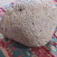 فروش شهاب سنگ|کلکسیون اشیاء عتیقه|چابهار, |دیوار