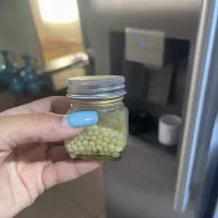 خاویار حلزون و جوجه حلزون آچاتینا