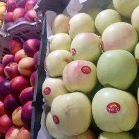 شاگرد میوه فروشی