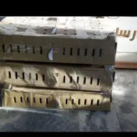 جوجه مرغ و خروس مرندی سیاه اصل(اصالت صددرصد)|حیوانات مزرعه|شیراز, احمدی جنوبی|دیوار