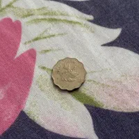 سک ها نایاب