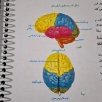 جزوات و کتاب|کتاب و مجله آموزشی|تربت‌حیدریه, پائین ولایت|دیوار