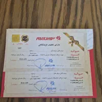 ۲ بن ۱۰ تومانی نوین چرم