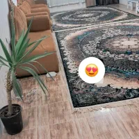 اجاره خونه