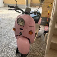 موتر پاکشتی صورتی سفید