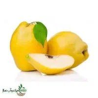 پیش فروش نهال به کیوی شناسه دار|خدمات باغبانی و درختکاری|پاوه, |دیوار