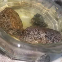 سنگ طلا موجوده ب صورت تکی و عمده هر کی خاست|جواهرات|سنگان, |دیوار