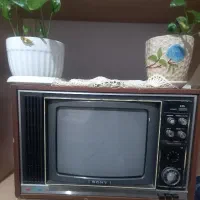 تلویزیون کلکسیونی