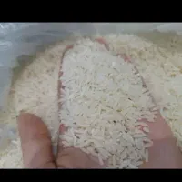 برنج زرد دم