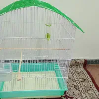 قفس سالم و مجهز