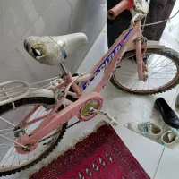دوچرخه دخترانه.  20