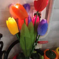 چراغ خواب گل لاله