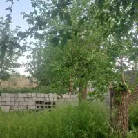 اجاره حیاط ۱۲۰۰ متری جهت دامداری یا کارگاه|اجارهٔ خانه و ویلا|بروجرد, |دیوار