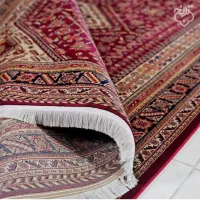 کارخانه قالیشویی آپادانا