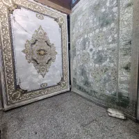 مینی مال فرش /|فرش|رشت, باهنر|دیوار