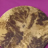 دف رضاعی منش ،سالم درحدنوو