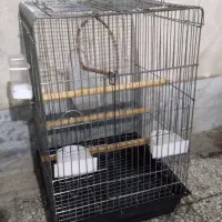 سلام ۲عدد قفس سالم باوسایل