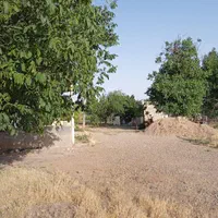 زمین و باغ با چاه عمیق مناسب گلخانه و مرغداری|فروش زمین و ملک کلنگی|ابهر, |دیوار