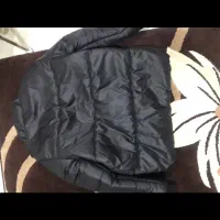 کاپشن پوفی نو نو|لباس|مراغه, |دیوار