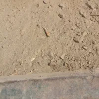 ماسه بادی