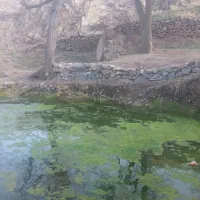 تعویض-خودروباملک