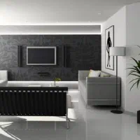 هم خانه خانم