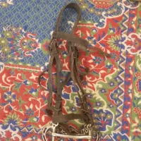 لوازم سوار کاری|اسب و تجهیزات اسب‌سواری|اردبیل, |دیوار