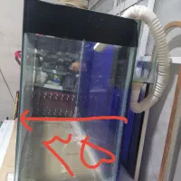 آکواریوم|ماهی|مشهد, توس (بلوار توس)|دیوار