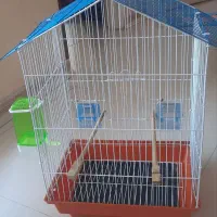 قفس عروس هلندی