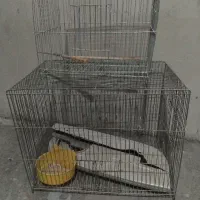 قفس بزرگ و کوچک