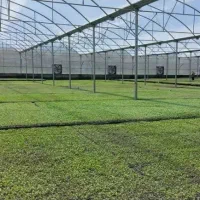 سازه گلخانه با تجهیزات کامل