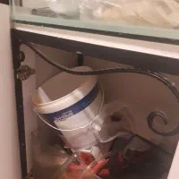 آکواریوم ماهی|ماهی|تهران, مجیدآباد|دیوار