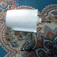 پنگه ایستاده