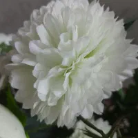 اجاره واحد ویلایی