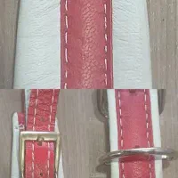 بند آکاردئون|پیانو، کیبورد، آکاردئون|تهران, پاسداران|دیوار