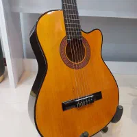 گیتار دیاموند آکبند