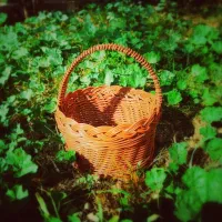 سبد حصیری با نخ مفتولی|صنایع دستی و سایر لوازم تزئینی|قم, شهرک توانیر|دیوار