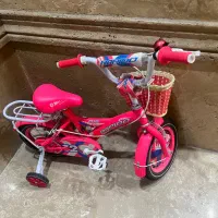 دوچرخه سایر ۱۲