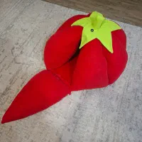 خونه گربه گوجه ای