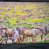 فروش تعدادی لوازم خانگی وصنعتی