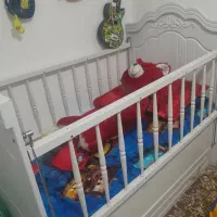 تخت خواب نوزاد کودک همراه تشک