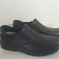 کفش مردانه pasargad|کیف، کفش، کمربند|دورود, |دیوار