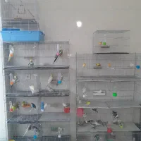 پرنده سرای زینتی سهند